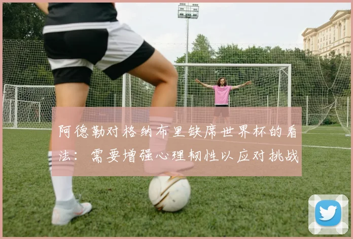 阿德勒对格纳布里缺席世界杯的看法：需要增强心理韧性以应对挑战